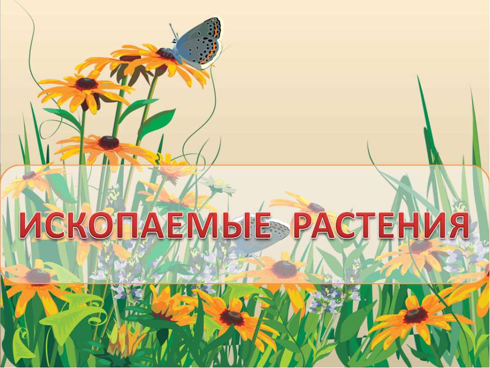 Ископаемые растения - Скачать презентации бесплатно ☑ Презентации по предметам на gdz-books.ru