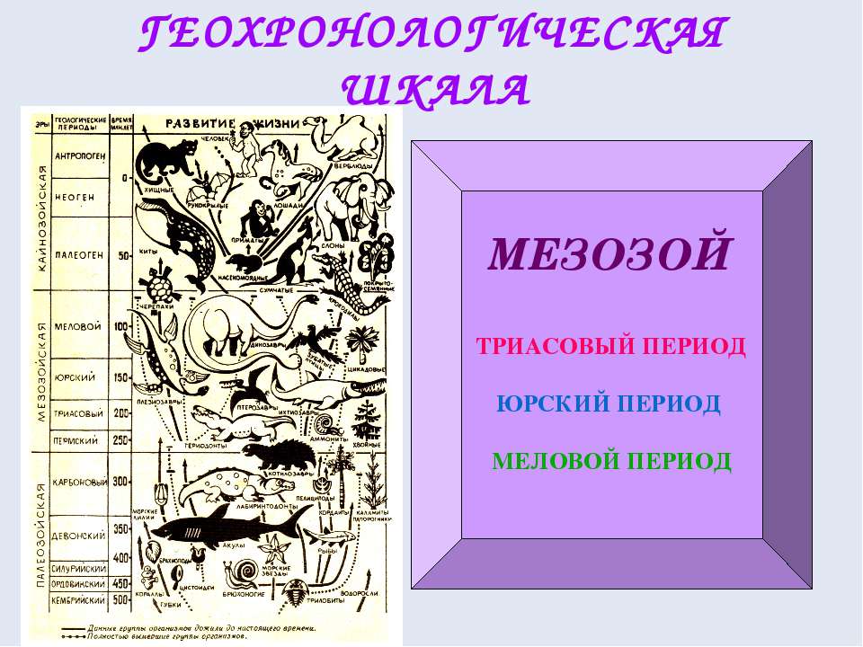 Мезозой - Скачать презентации бесплатно ☑ Презентации по предметам на gdz-books.ru