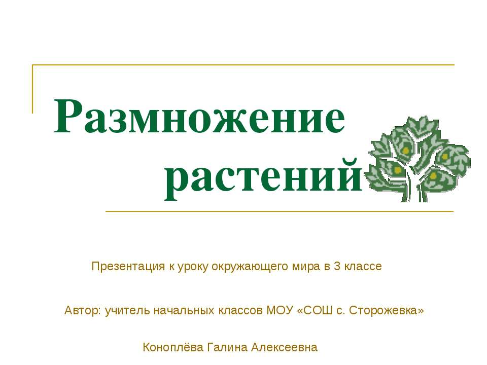 Размножение растений  - Скачать презентации бесплатно | Читать или скачать учебники для школы онлайн бесплатно ☑ Школьные учебники school-textbook.com