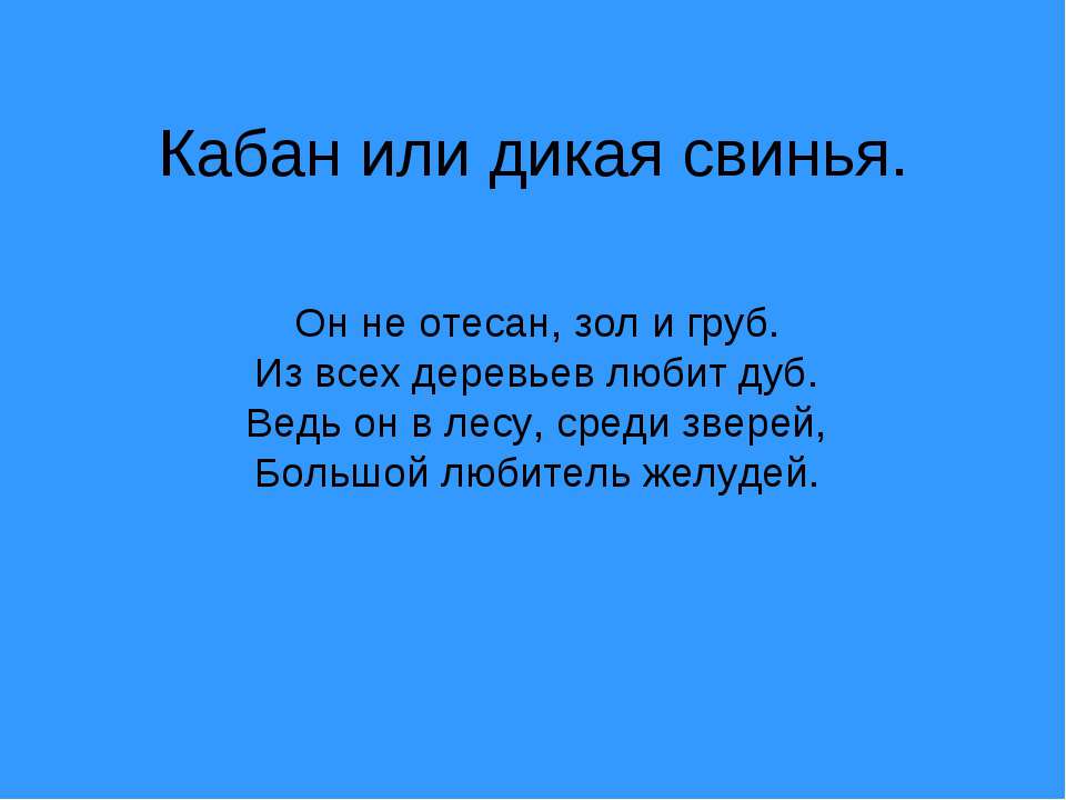 Кабан или дикая свинья  - Скачать презентации бесплатно | Читать или скачать учебники для школы онлайн бесплатно ☑ Школьные учебники school-textbook.com