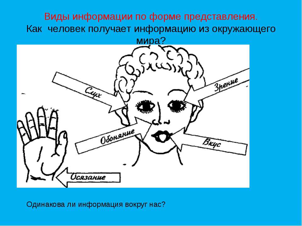 Виды информации по форме представления  - Скачать презентации бесплатно | Читать или скачать учебники для школы онлайн бесплатно ☑ Школьные учебники school-textbook.com