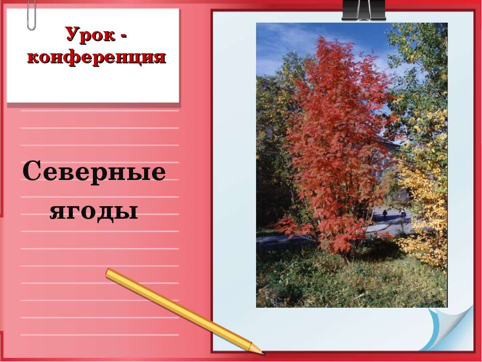 Северные ягоды  - Скачать презентации бесплатно | Читать или скачать учебники для школы онлайн бесплатно ☑ Школьные учебники school-textbook.com