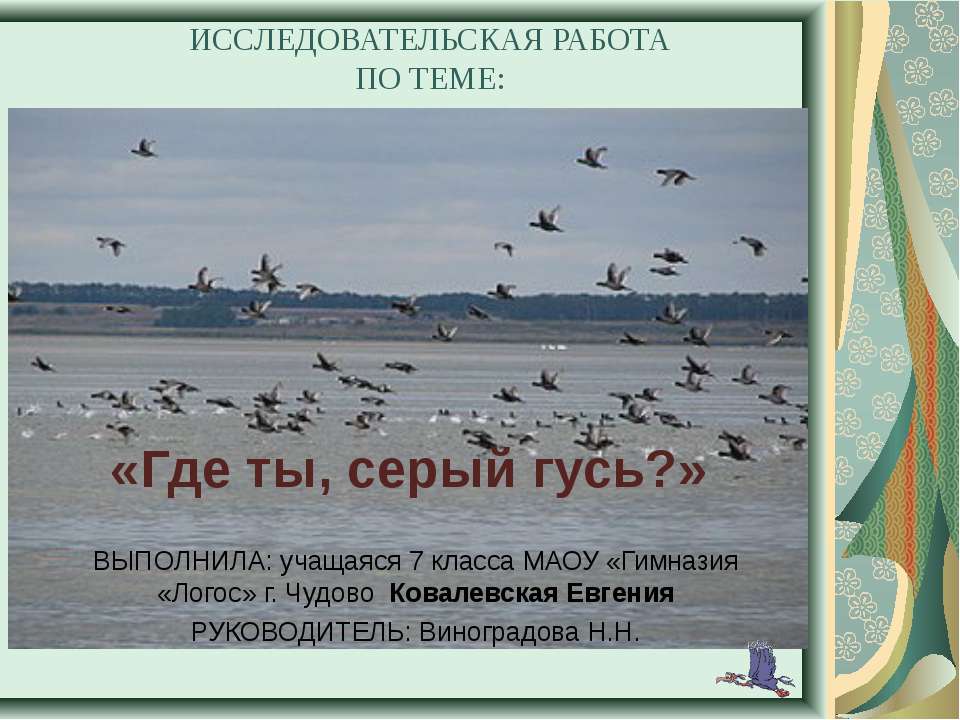 Где ты, серый гусь?  - Скачать презентации бесплатно | Читать или скачать учебники для школы онлайн бесплатно ☑ Школьные учебники school-textbook.com