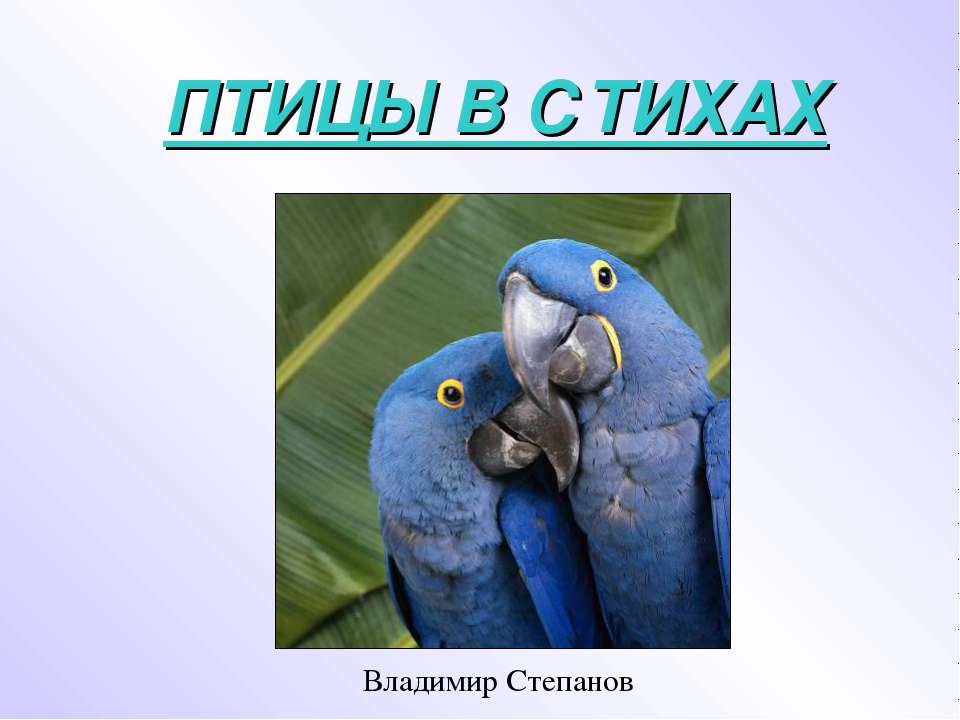 птицы в стихах - Скачать презентации бесплатно ☑ Презентации по предметам на gdz-books.ru