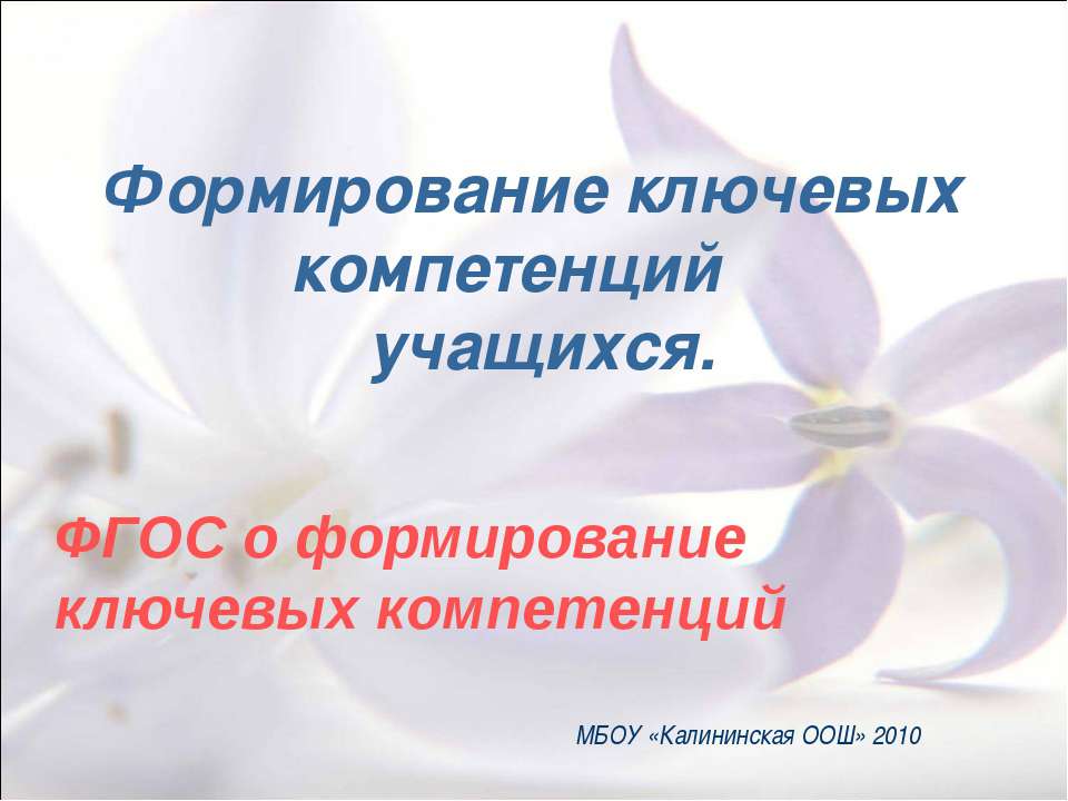 Формирование ключевых компетенций учащихся  - Скачать презентации бесплатно | Читать или скачать учебники для школы онлайн бесплатно ☑ Школьные учебники school-textbook.com