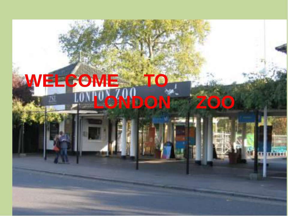 Welcome to London zoo - Скачать презентации бесплатно ☑ Презентации по предметам на gdz-books.ru