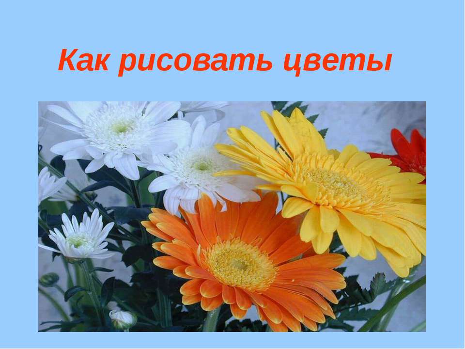 Как рисовать цветы  - Скачать презентации бесплатно | Читать или скачать учебники для школы онлайн бесплатно ☑ Школьные учебники school-textbook.com
