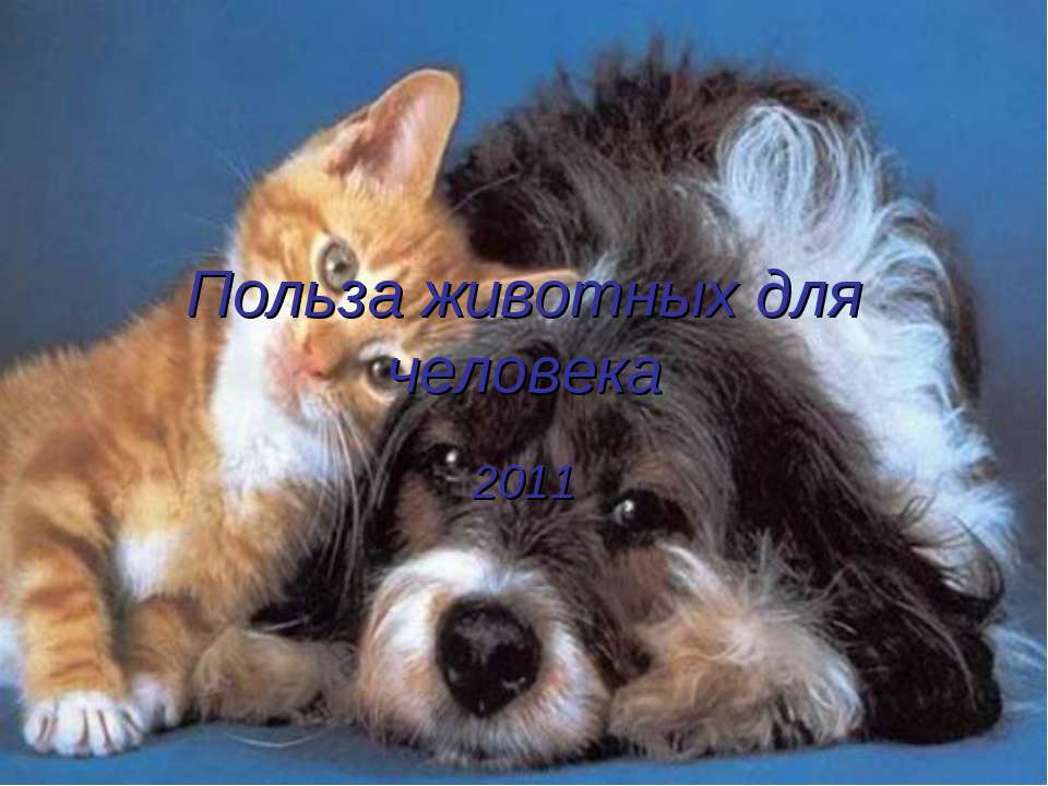 Польза животных для человека  - Скачать презентации бесплатно | Читать или скачать учебники для школы онлайн бесплатно ☑ Школьные учебники school-textbook.com