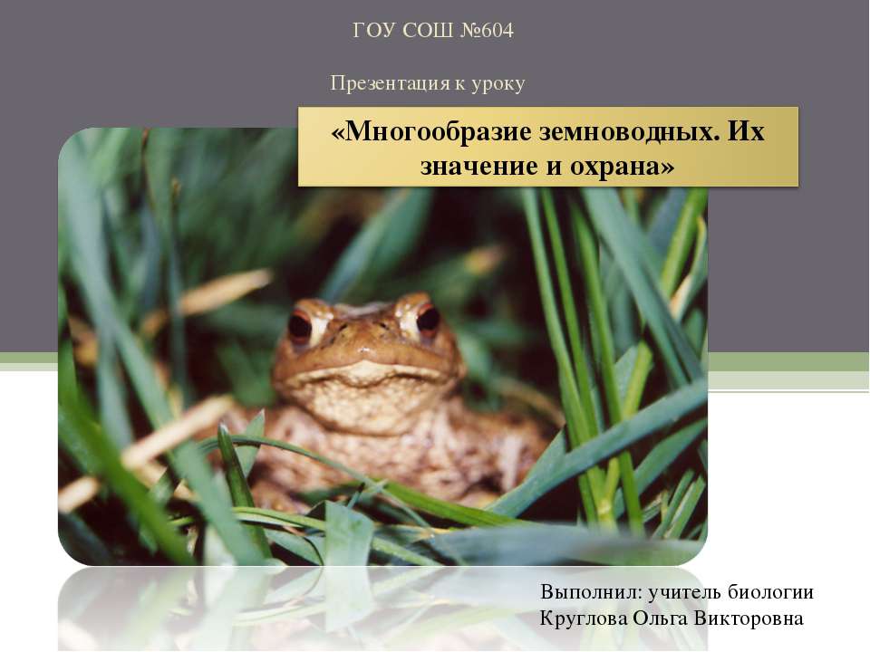 Многообразие земноводных. Их значение и охрана  - Скачать презентации бесплатно | Читать или скачать учебники для школы онлайн бесплатно ☑ Школьные учебники school-textbook.com