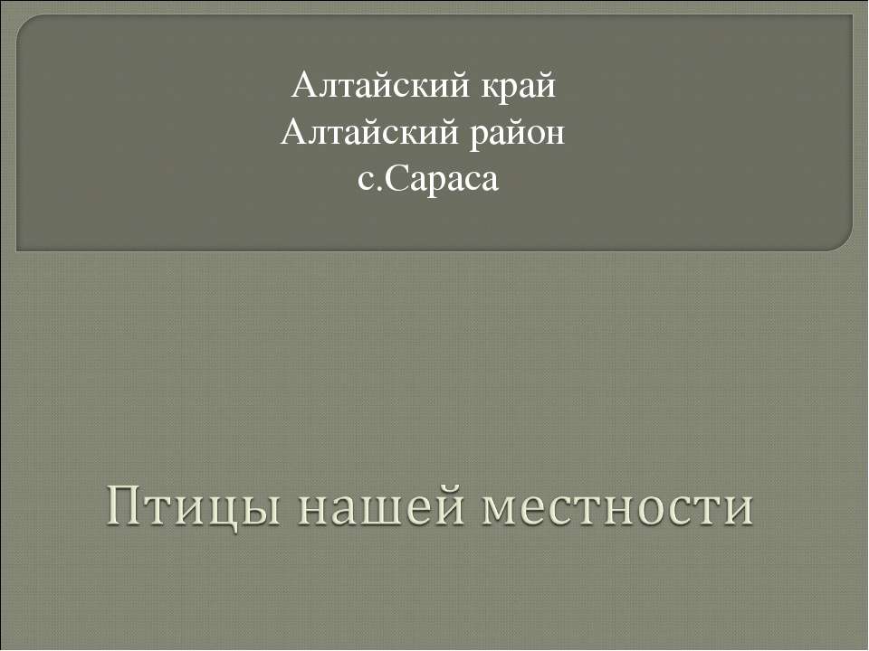 Птицы нашей местности - Скачать презентации бесплатно ☑ Презентации по предметам на gdz-books.ru