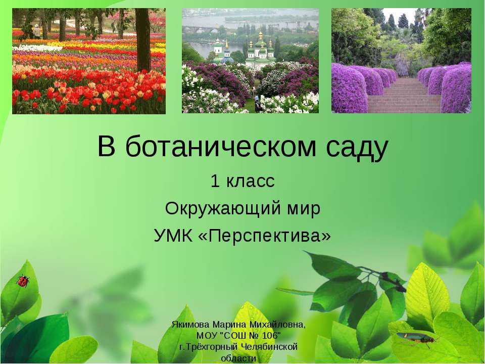 В ботаническом саду - Скачать презентации бесплатно ☑ Презентации по предметам на gdz-books.ru