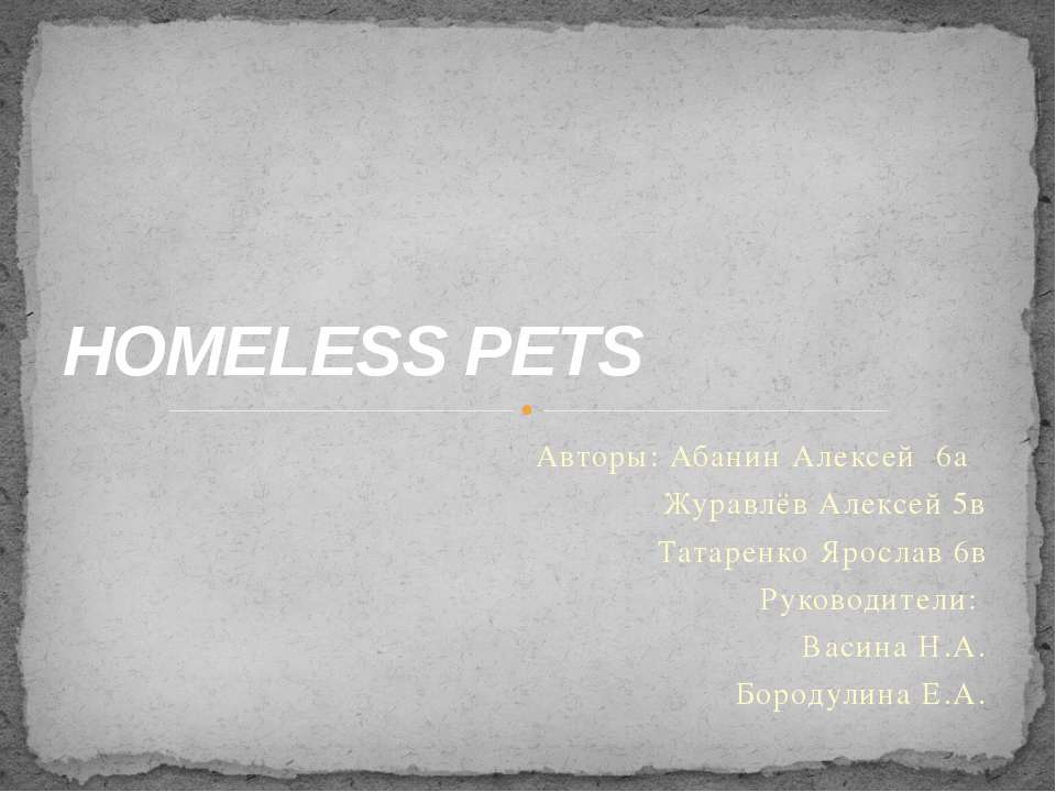 Homeless Pets - Скачать презентации бесплатно ☑ Презентации по предметам на gdz-books.ru