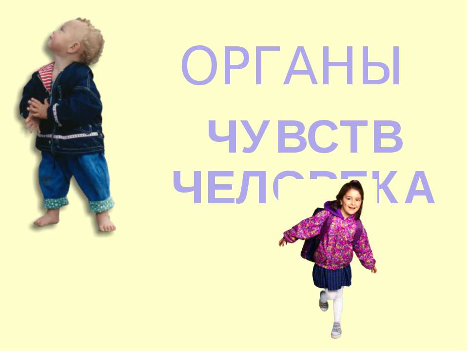 Органы чувств человека  - Скачать презентации бесплатно | Читать или скачать учебники для школы онлайн бесплатно ☑ Школьные учебники school-textbook.com