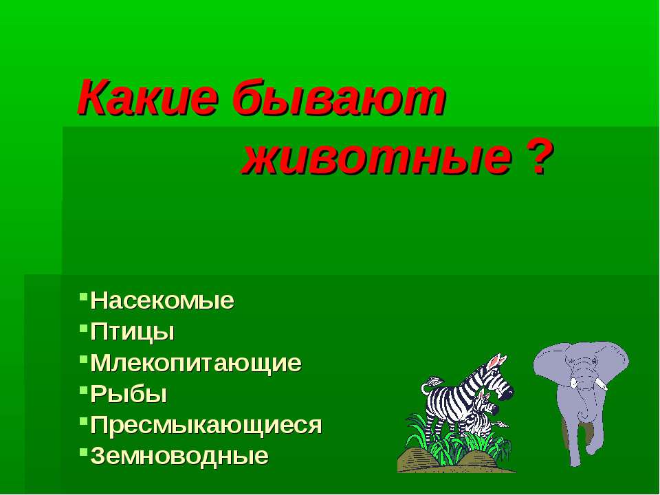 Какие бывают животные ?  - Скачать презентации бесплатно | Читать или скачать учебники для школы онлайн бесплатно ☑ Школьные учебники school-textbook.com
