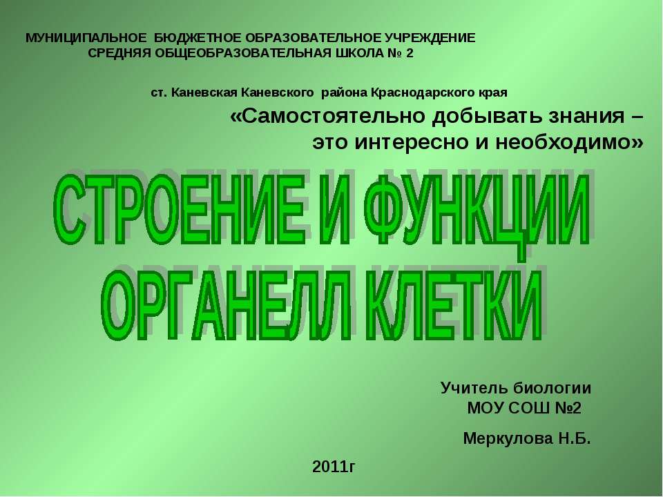 Строение и функции органелл клетки  - Скачать презентации бесплатно | Читать или скачать учебники для школы онлайн бесплатно ☑ Школьные учебники school-textbook.com