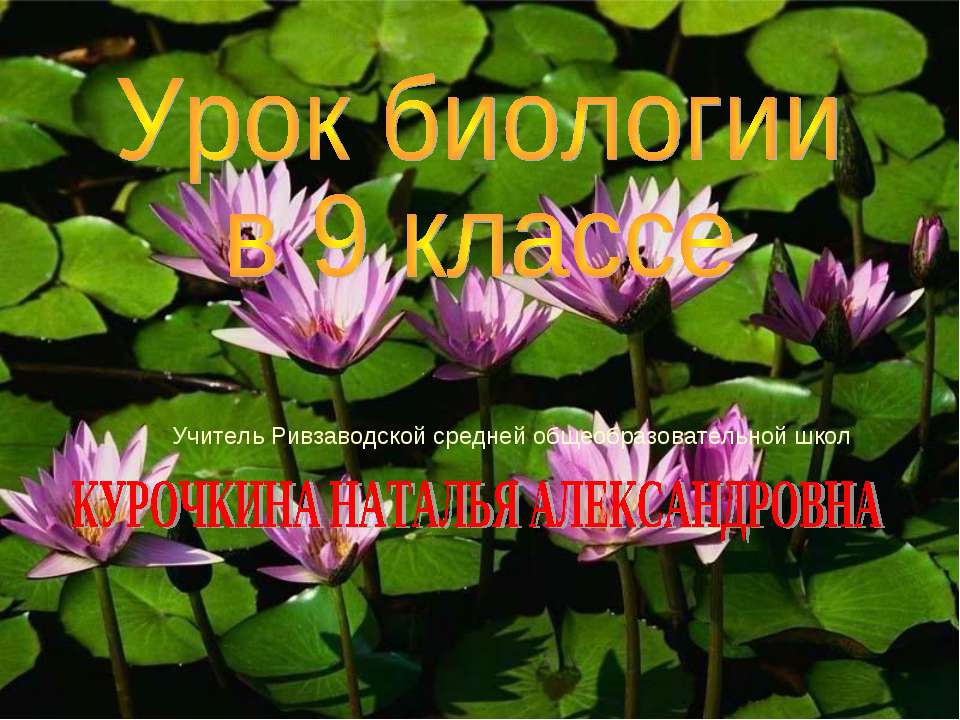 Генетические опыты Менделя  - Скачать презентации бесплатно | Читать или скачать учебники для школы онлайн бесплатно ☑ Школьные учебники school-textbook.com