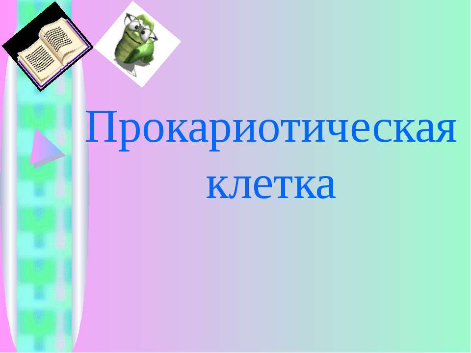 Прокариотическая клетка  - Скачать презентации бесплатно | Читать или скачать учебники для школы онлайн бесплатно ☑ Школьные учебники school-textbook.com