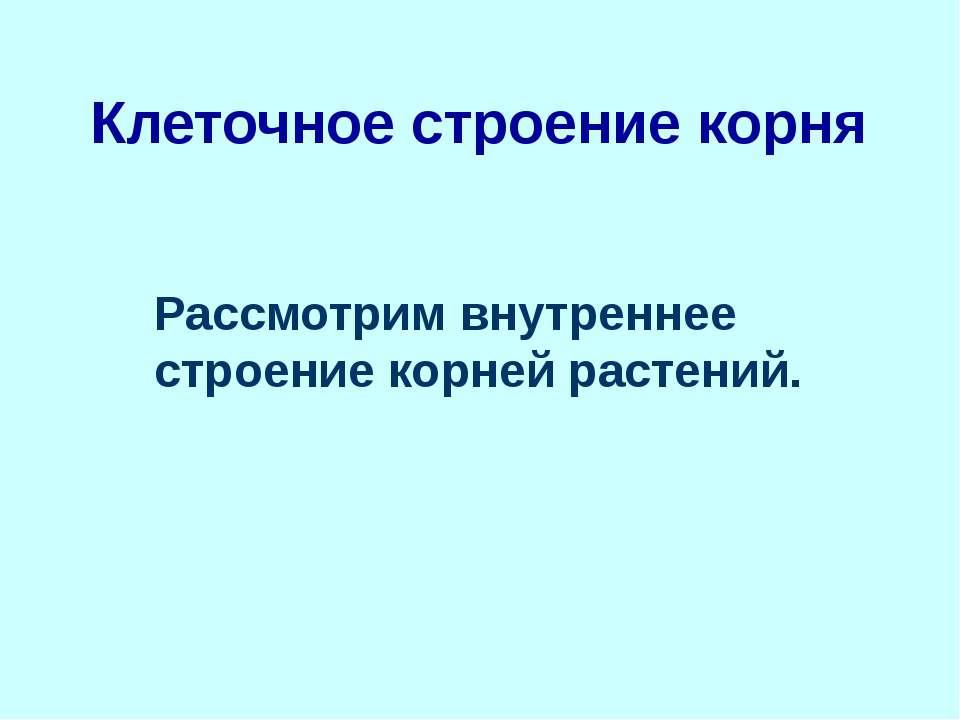Клеточное строение корня. Рассмотрим внутреннее строение корней растений  - Скачать презентации бесплатно | Читать или скачать учебники для школы онлайн бесплатно ☑ Школьные учебники school-textbook.com