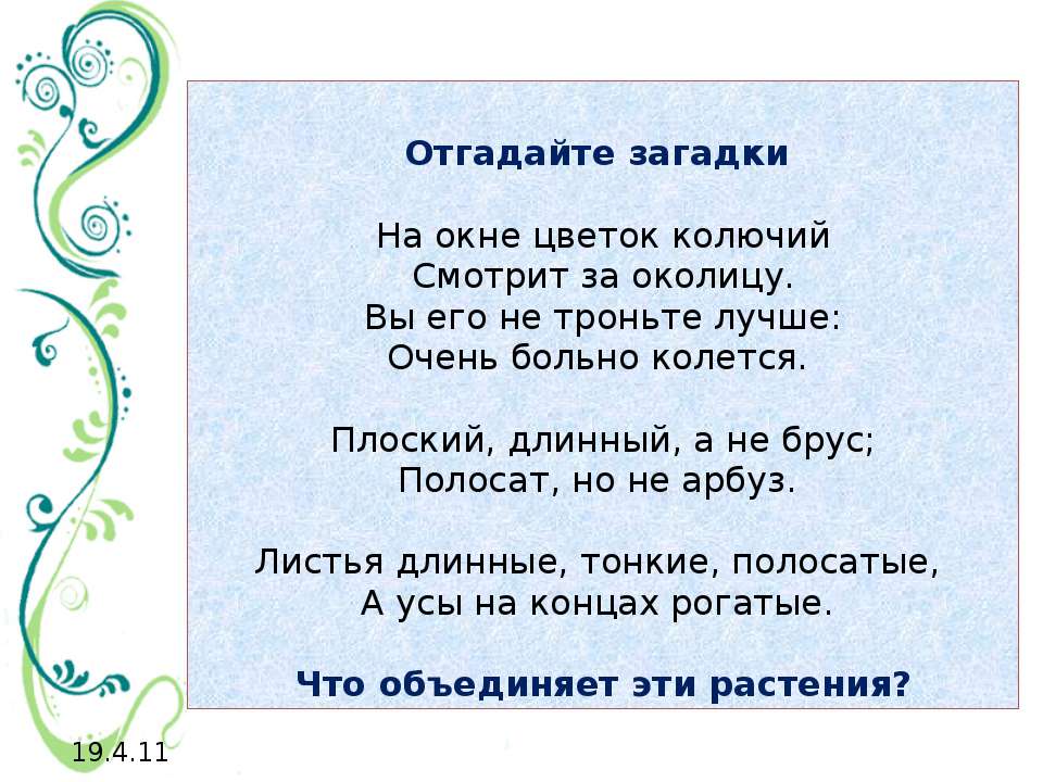 Мир растений на подоконнике  - Скачать презентации бесплатно | Читать или скачать учебники для школы онлайн бесплатно ☑ Школьные учебники school-textbook.com