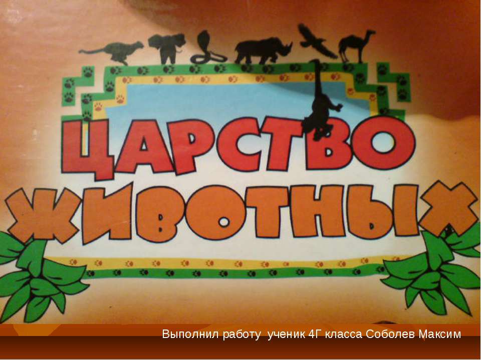 царство животных  - Скачать презентации бесплатно | Читать или скачать учебники для школы онлайн бесплатно ☑ Школьные учебники school-textbook.com