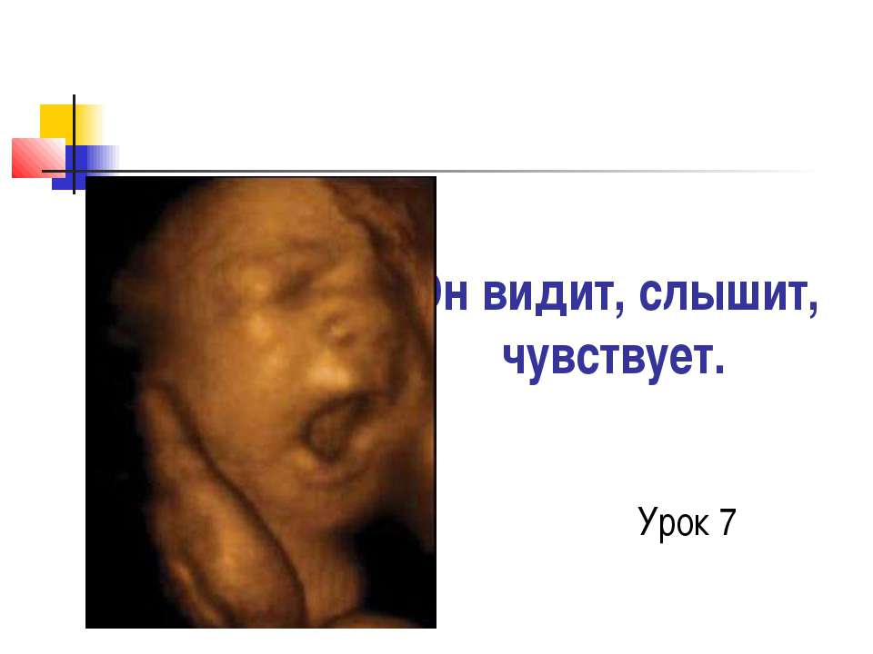 Он видит, слышит, чувствует - Скачать презентации бесплатно ☑ Презентации по предметам на gdz-books.ru