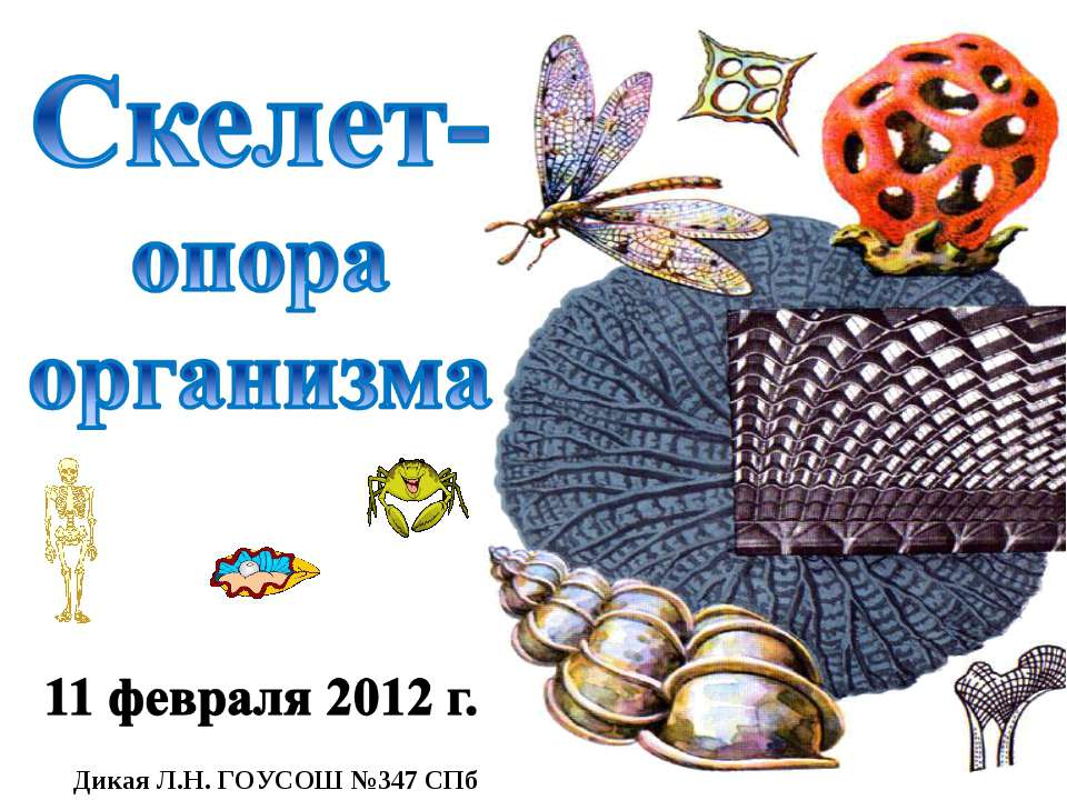 Скелет-опора организма  - Скачать презентации бесплатно | Читать или скачать учебники для школы онлайн бесплатно ☑ Школьные учебники school-textbook.com