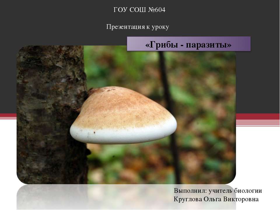 Грибы - паразиты  - Скачать презентации бесплатно | Читать или скачать учебники для школы онлайн бесплатно ☑ Школьные учебники school-textbook.com