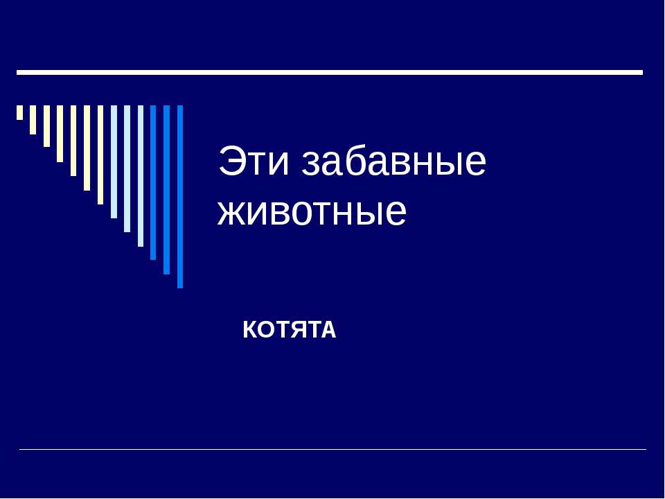 Эти забавные животные Котята  - Скачать презентации бесплатно | Читать или скачать учебники для школы онлайн бесплатно ☑ Школьные учебники school-textbook.com