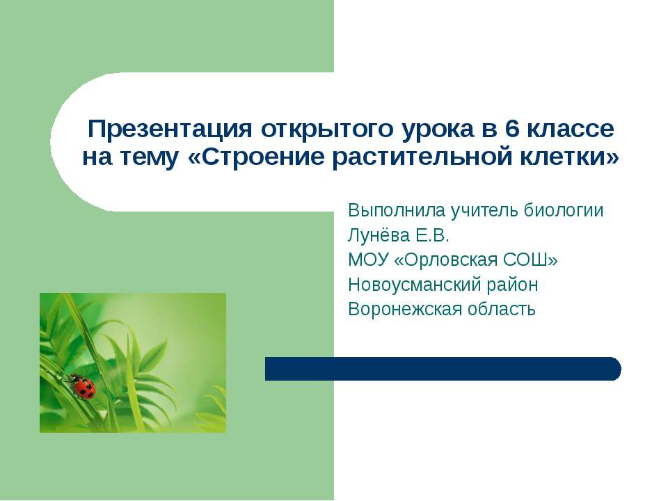 Строение растительной клетки 6 класс  - Скачать презентации бесплатно | Читать или скачать учебники для школы онлайн бесплатно ☑ Школьные учебники school-textbook.com