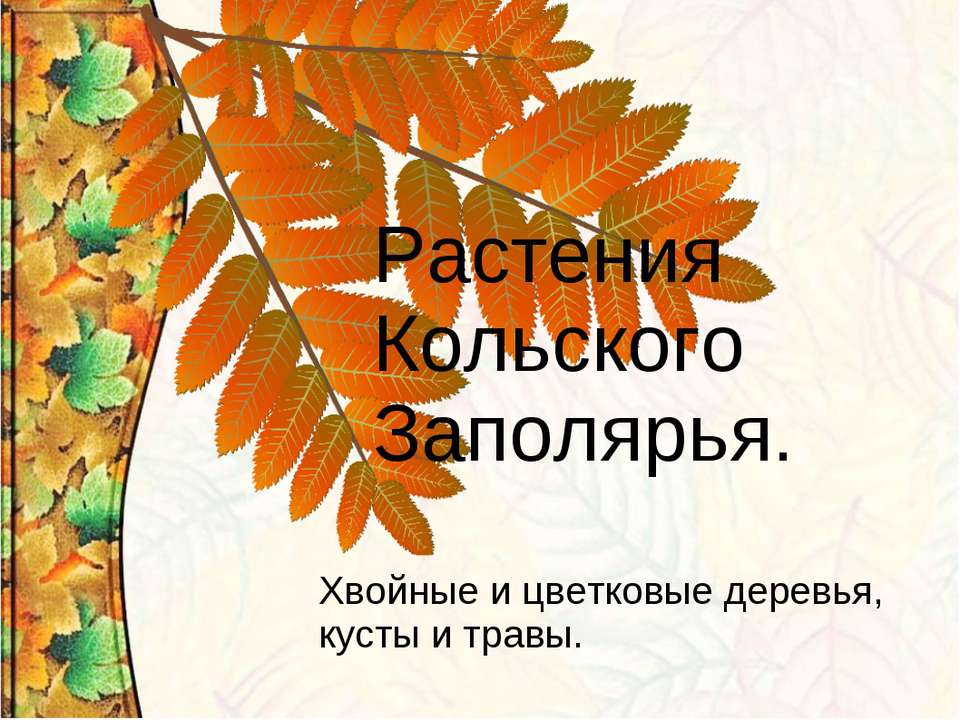 Растения Кольского Заполярья - Скачать презентации бесплатно ☑ Презентации по предметам на gdz-books.ru