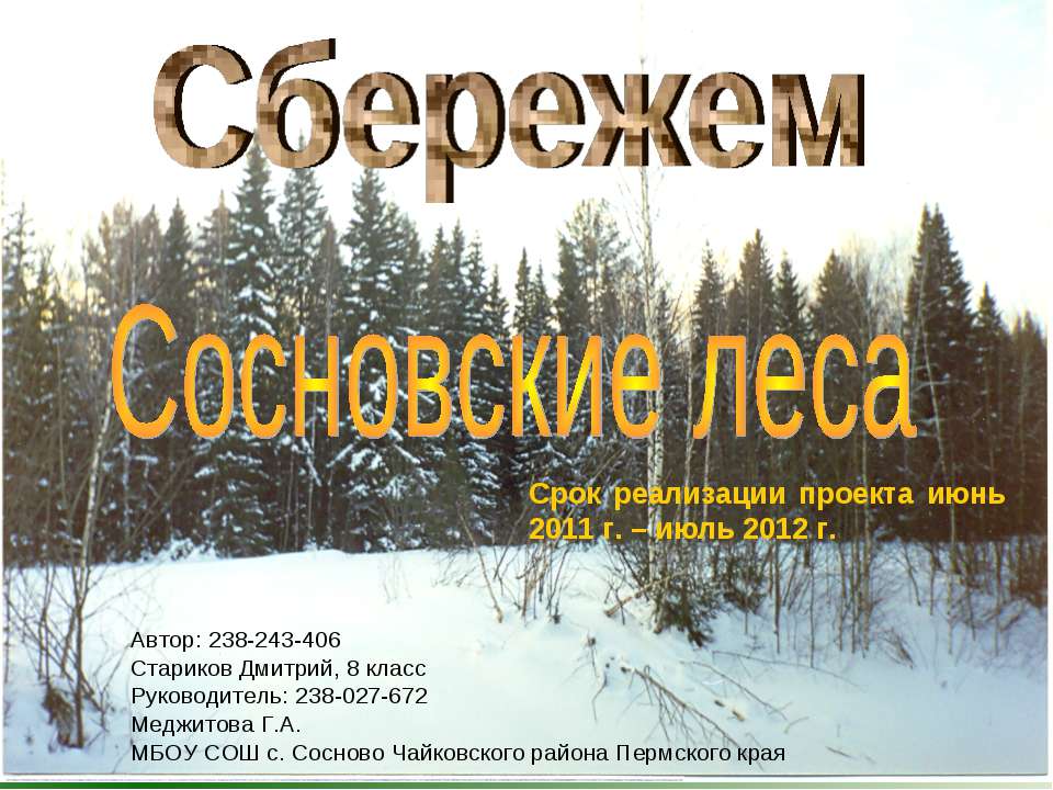Сбережем Сосновские леса - Скачать презентации бесплатно ☑ Презентации по предметам на gdz-books.ru