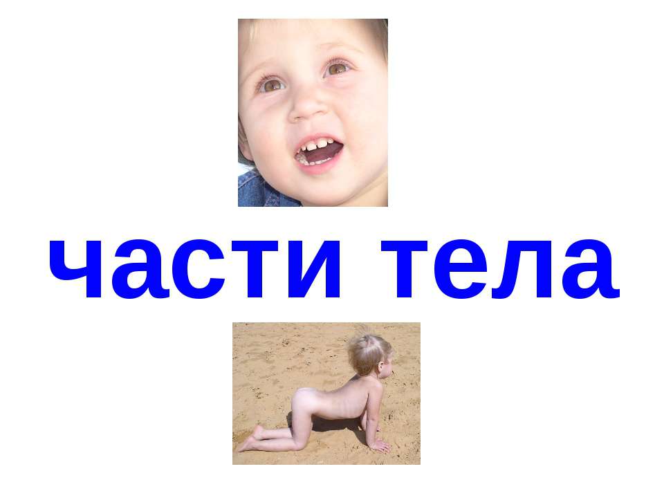 Части тела - Скачать презентации бесплатно ☑ Презентации по предметам на gdz-books.ru