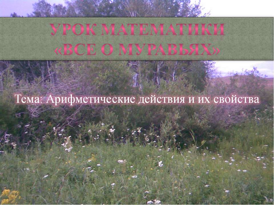 Арифметические действия и их свойства - Скачать презентации бесплатно ☑ Презентации по предметам на gdz-books.ru