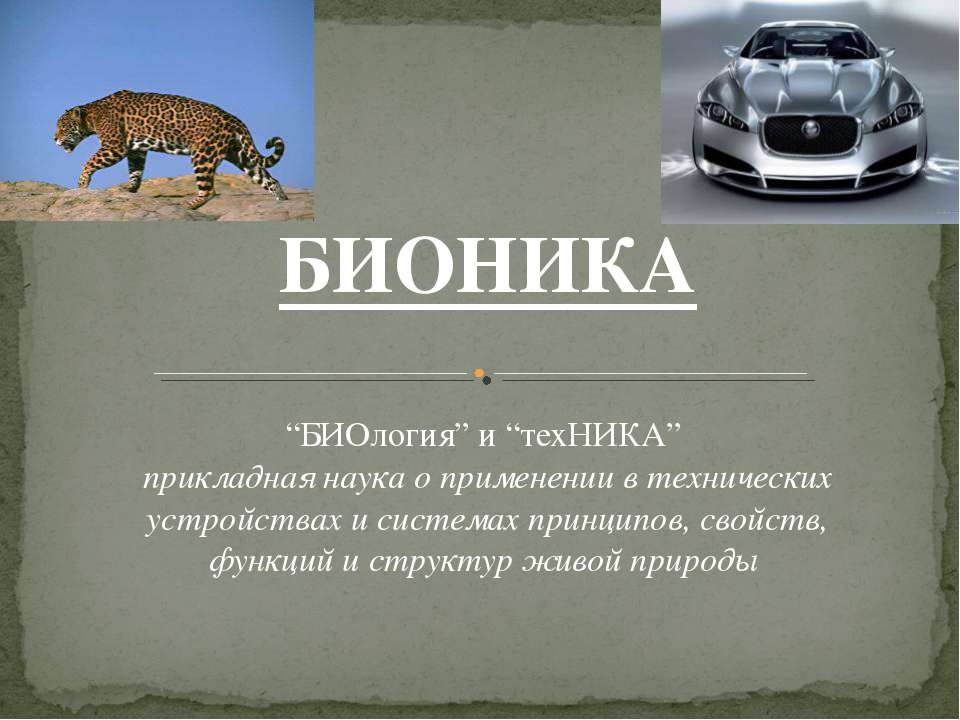 Бионика как отдельная наука  - Скачать презентации бесплатно | Читать или скачать учебники для школы онлайн бесплатно ☑ Школьные учебники school-textbook.com
