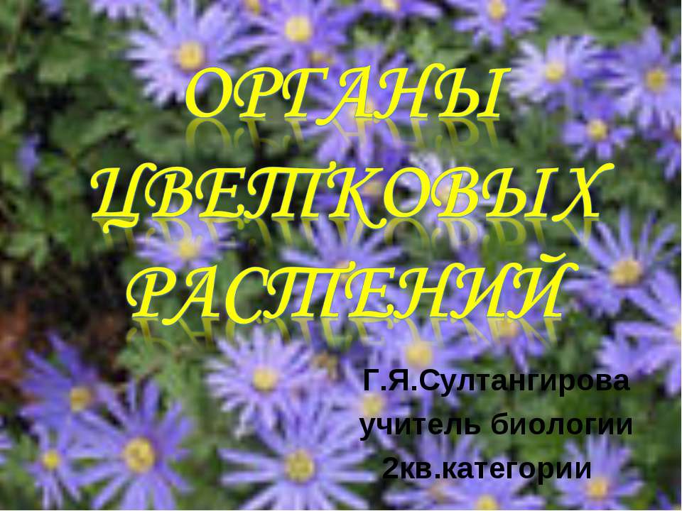 Органы цветковых растений  - Скачать презентации бесплатно | Читать или скачать учебники для школы онлайн бесплатно ☑ Школьные учебники school-textbook.com