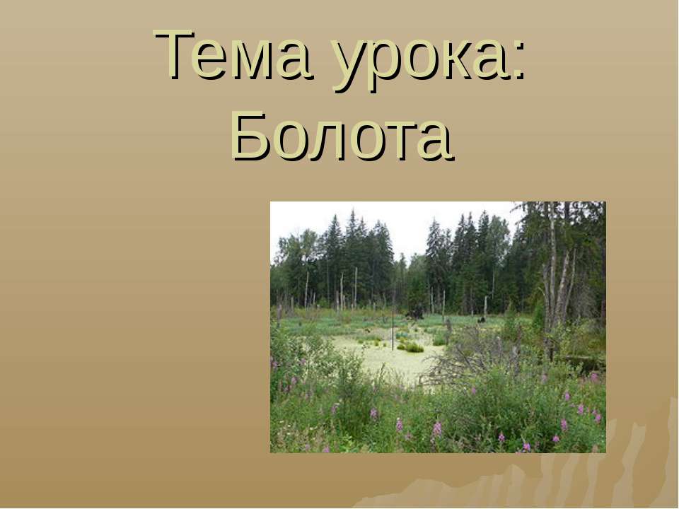 Болота - Скачать презентации бесплатно ☑ Презентации по предметам на gdz-books.ru