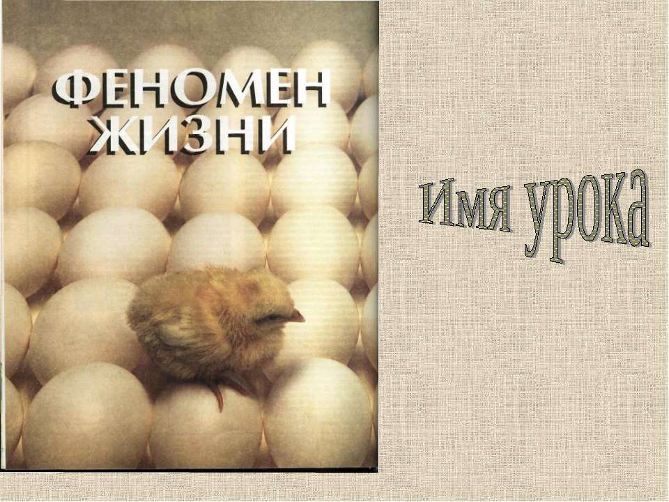 Размножение и развитие птиц. Л/р «Изучение строения куриного яйца»  - Скачать презентации бесплатно | Читать или скачать учебники для школы онлайн бесплатно ☑ Школьные учебники school-textbook.com