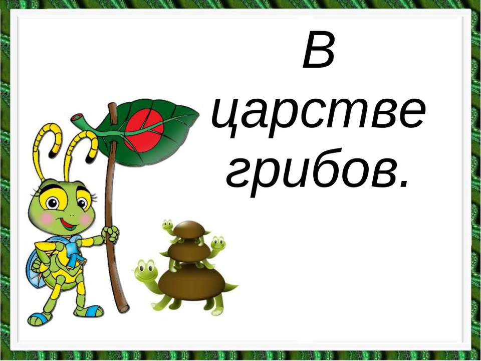 В царстве грибов  - Скачать презентации бесплатно | Читать или скачать учебники для школы онлайн бесплатно ☑ Школьные учебники school-textbook.com