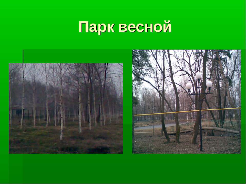 Парк весной  - Скачать презентации бесплатно | Читать или скачать учебники для школы онлайн бесплатно ☑ Школьные учебники school-textbook.com