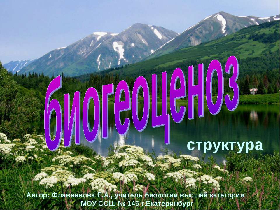 Биогеоценоз структура - Скачать презентации бесплатно ☑ Презентации по предметам на gdz-books.ru
