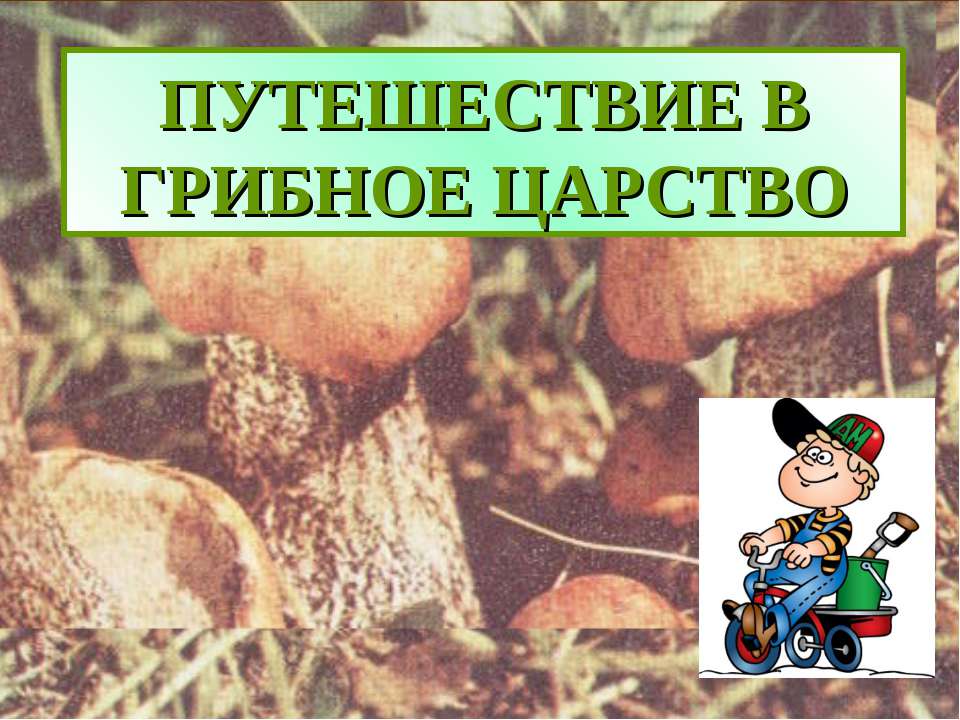 Путешествие в грибное царство  - Скачать презентации бесплатно | Читать или скачать учебники для школы онлайн бесплатно ☑ Школьные учебники school-textbook.com