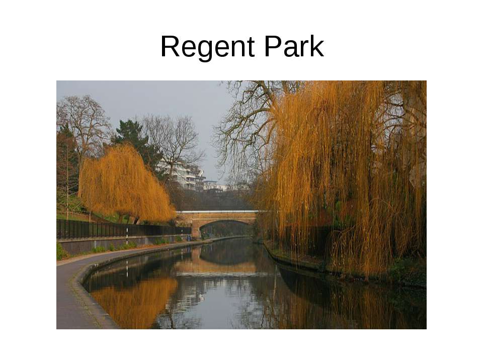 Regent Park  - Скачать презентации бесплатно | Читать или скачать учебники для школы онлайн бесплатно ☑ Школьные учебники school-textbook.com