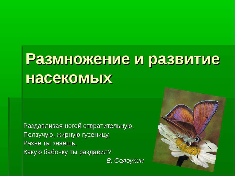 Размножение и развитие насекомых  - Скачать презентации бесплатно | Читать или скачать учебники для школы онлайн бесплатно ☑ Школьные учебники school-textbook.com