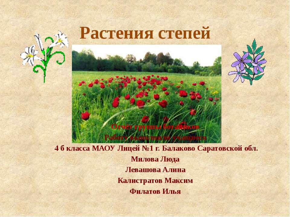 Растения степей  - Скачать презентации бесплатно | Читать или скачать учебники для школы онлайн бесплатно ☑ Школьные учебники school-textbook.com