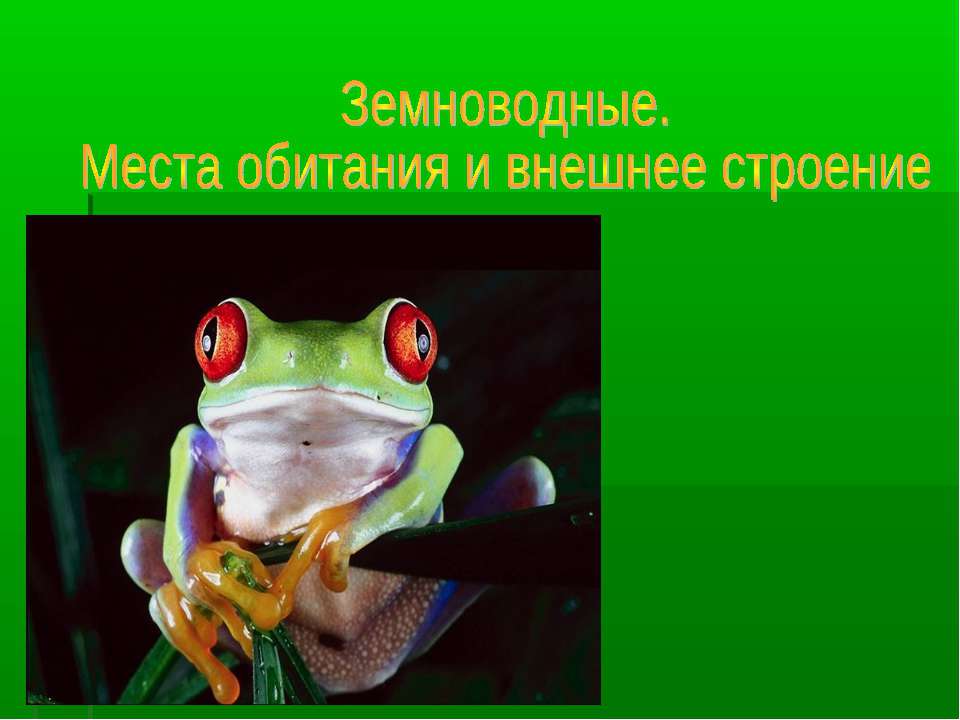 Земноводные. Места обитания и внешнее строение  - Скачать презентации бесплатно | Читать или скачать учебники для школы онлайн бесплатно ☑ Школьные учебники school-textbook.com