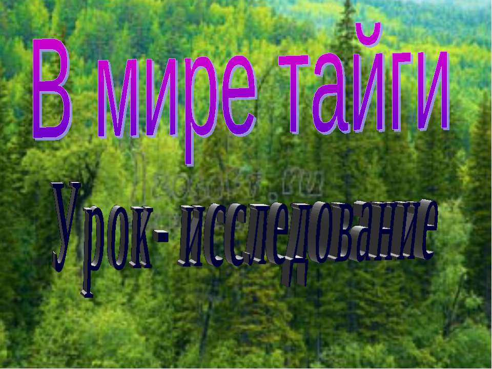 В мире тайги  - Скачать презентации бесплатно | Читать или скачать учебники для школы онлайн бесплатно ☑ Школьные учебники school-textbook.com