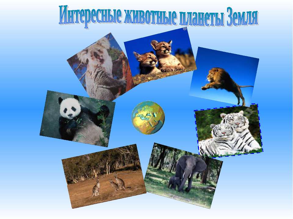 Интересные животные планеты Земля  - Скачать презентации бесплатно | Читать или скачать учебники для школы онлайн бесплатно ☑ Школьные учебники school-textbook.com