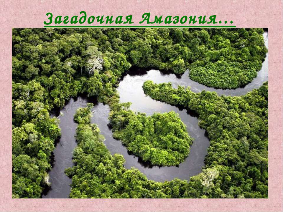 Загадочная Амазония - Скачать презентации бесплатно ☑ Презентации по предметам на gdz-books.ru