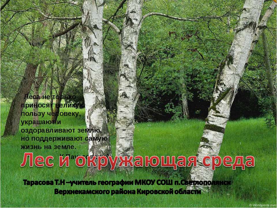 Лес и окружающая среда  - Скачать презентации бесплатно | Читать или скачать учебники для школы онлайн бесплатно ☑ Школьные учебники school-textbook.com