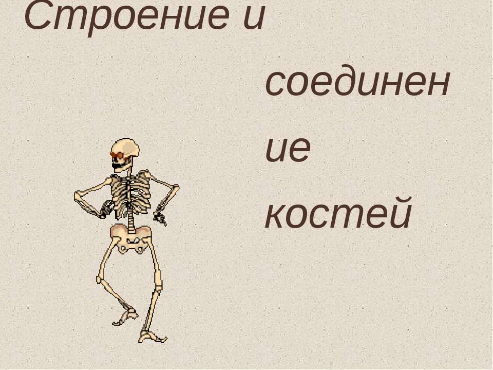 Строение и соединение костей  - Скачать презентации бесплатно | Читать или скачать учебники для школы онлайн бесплатно ☑ Школьные учебники school-textbook.com